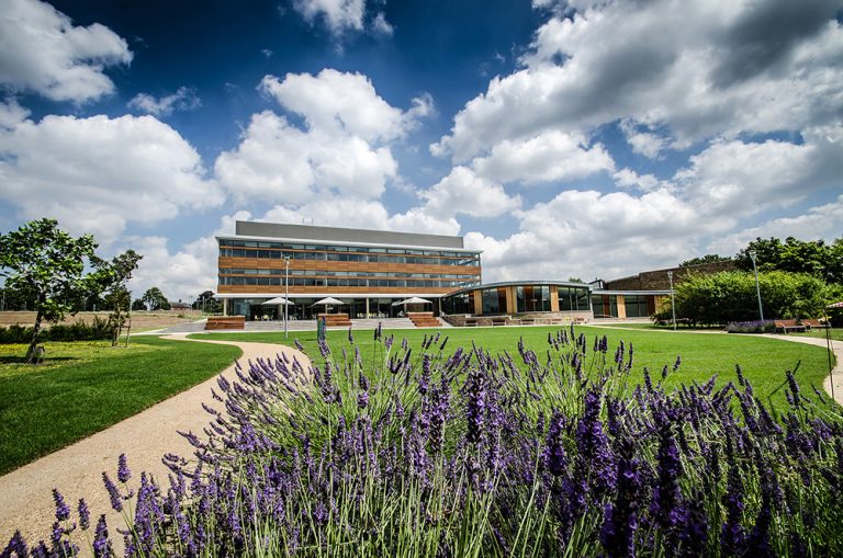 Why Norwich is a UK hotspot for innovation in modern industrial biotechnology