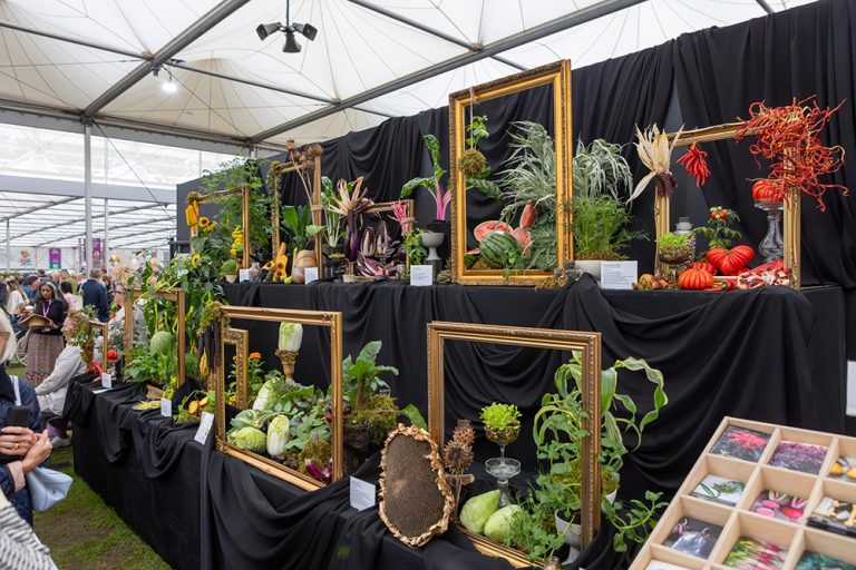 Double gold win for She Grows Veg at RHS
