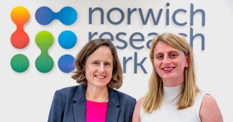 Start-up steps up fight against major crop pests