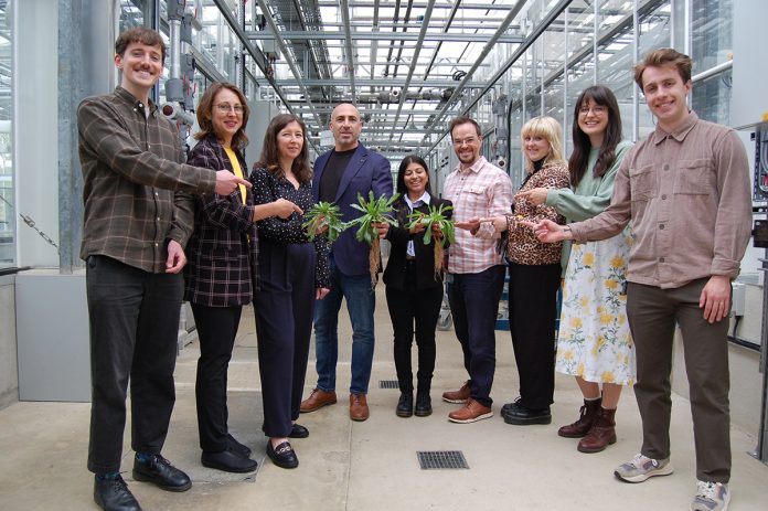 Qubertech - Growing sustainable rubber from dandelions roots - team